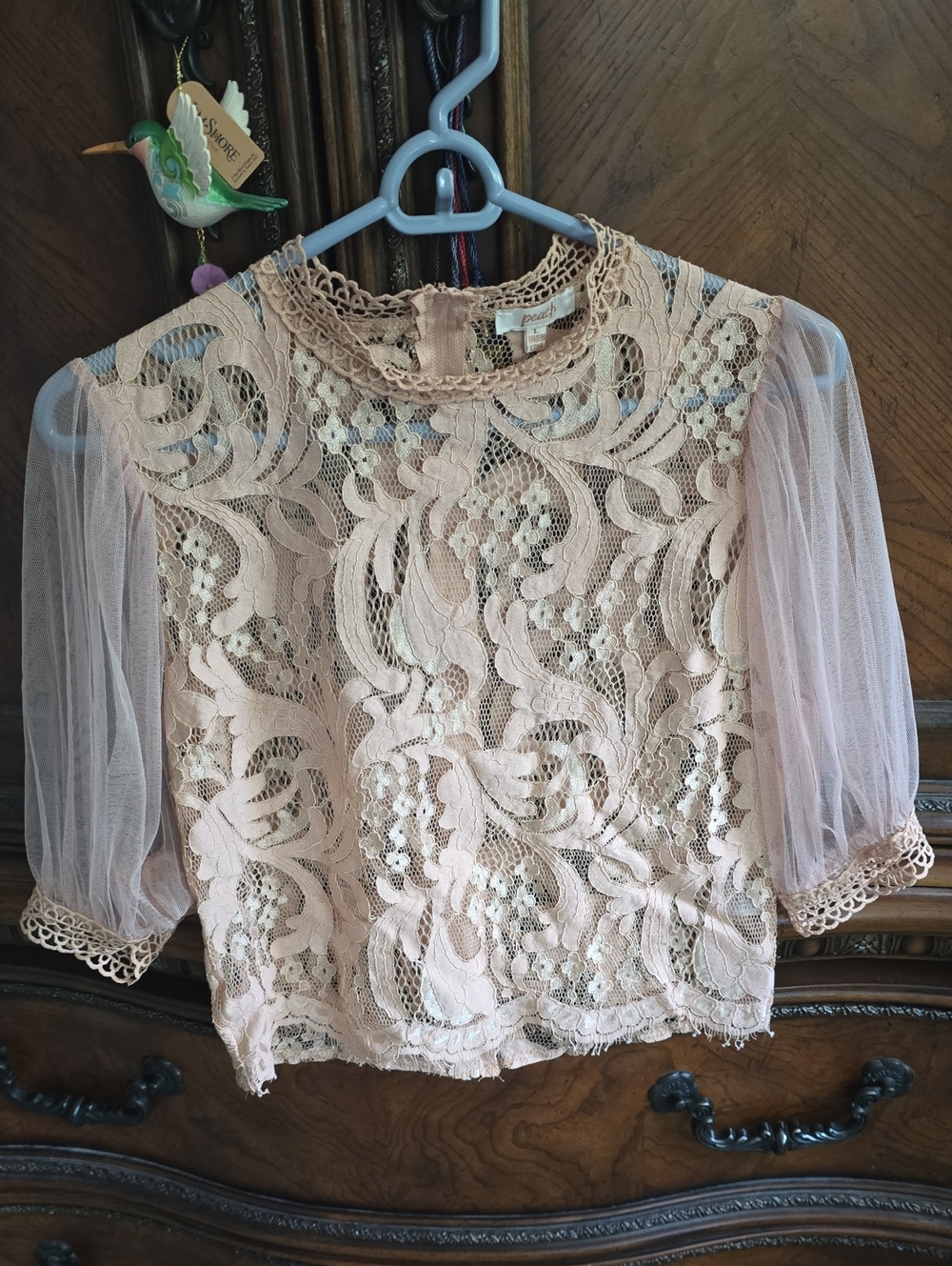🌷Blush Pink Lace Mesh Puff Sleeve Top🌷